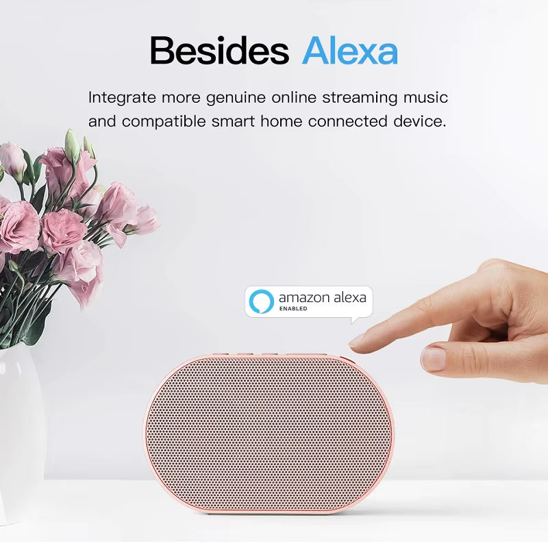 Wireless Bluetooth Smart Speaker 10W Stereo Speaker Outdoor Mini Speaker Support Alexa Spotify Streaming Music Speaker